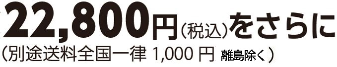 22800円